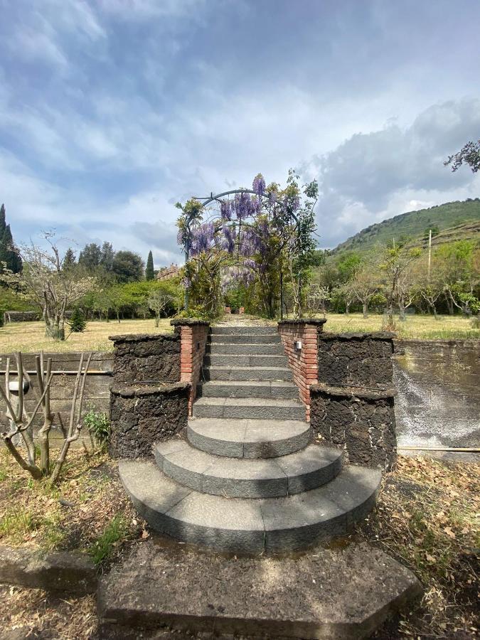 Villa Caterina, Alle Pendici Del Vulcano Etna Viagrande Exteriör bild