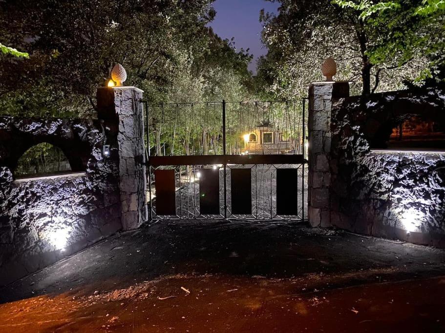 Villa Caterina, Alle Pendici Del Vulcano Etna Viagrande Exteriör bild
