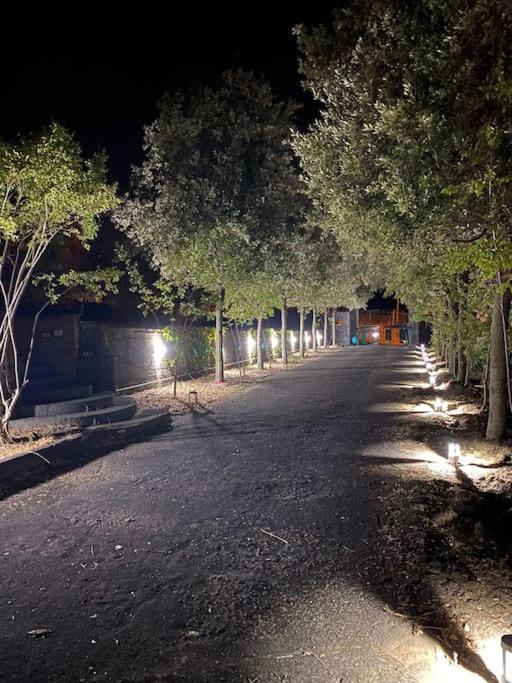 Villa Caterina, Alle Pendici Del Vulcano Etna Viagrande Exteriör bild