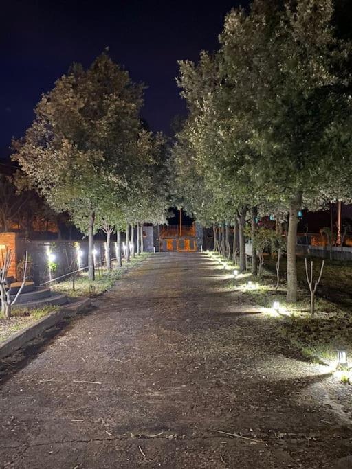 Villa Caterina, Alle Pendici Del Vulcano Etna Viagrande Exteriör bild