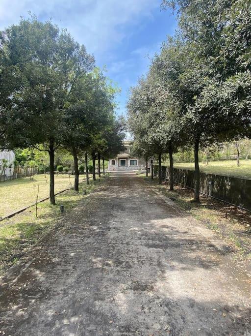 Villa Caterina, Alle Pendici Del Vulcano Etna Viagrande Exteriör bild